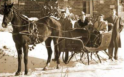 Graduated bells on horse
