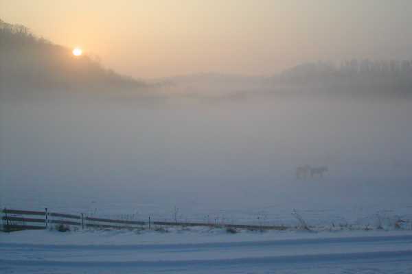 Winter
