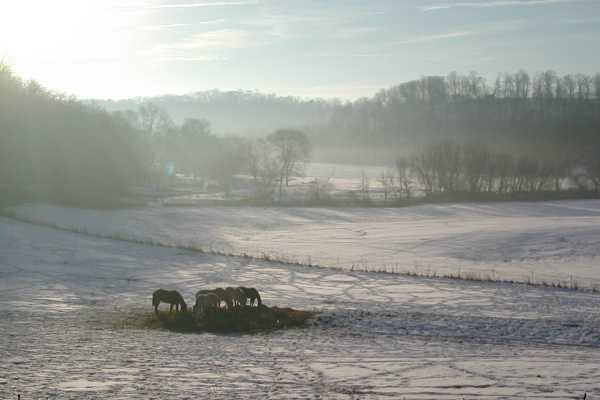 Winter