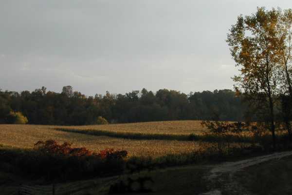 Fall