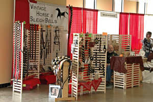 Midwest Horse Fair 2008